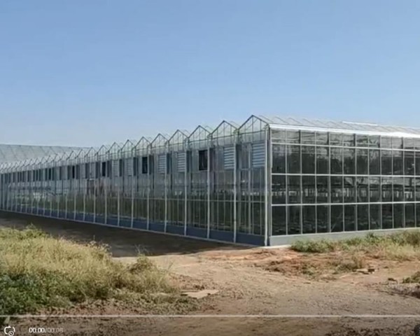 玻璃溫室大棚案例